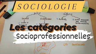 SOCIOLOGIE  LES CATÉGORIES SOCIOPROFESSIONNELLES [upl. by Duff]