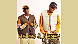 Mellow and Sleazy x Tyrone Dee x Tumelo  Thesha Eh Eh  Official Audio  Amapiano [upl. by Schechter711]