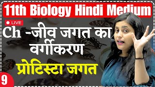 11th Biology  Lec 9  प्रोटिस्टा जगत  Ch  जीव जगत का वर्गीकरण For 11th Hindi Medium Renu Maam [upl. by Mountfort]