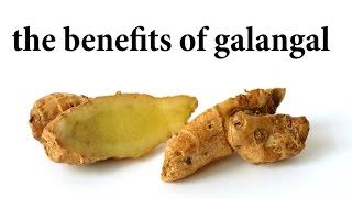 the benefits of galangal [upl. by Korrie308]