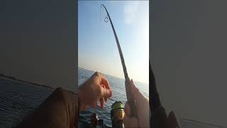 Catching a King on a Kayak 2 Miles from Land fishingmethods offshore fishing kayakfishing [upl. by Aivle]