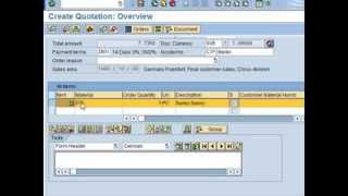 SAP Tutorial for beginners  SAP ERP [upl. by Katy]