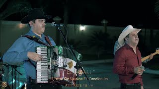 El Potro De Sinaloa Ft Canelos Jrs  El Jabali En Vivo 2018 [upl. by Eelarat]