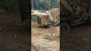 Process Of Transporting Timber In Mountainous Areas [upl. by Dorren996]