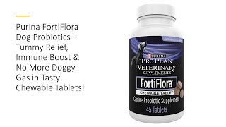 Purina FortiFlora Dog Probiotics – Tummy Relief Immune Boost amp No More Doggy Gas in Tasty Tablets [upl. by Atiker491]