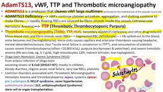 Hematology in 10 Min Hereditary Bleeding Disorder von Willebrand Disease [upl. by Aihpledalihp879]