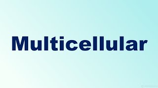 Multicellular Definition and Examples [upl. by Worthy990]