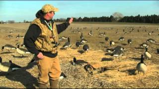 Perfect Goose Decoy Spread Wayne Radcliff Waterfowl Guide [upl. by Adelle]