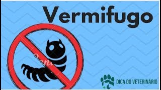 Cão Comendo Terra Areia e Cimento É Vermes Como Resolver o Problema  Dica do Veterinário [upl. by Aehcim417]