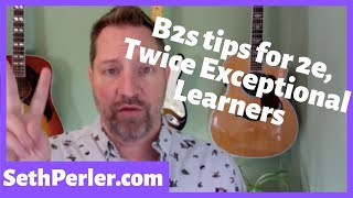 2e twiceexceptional b2s special considerations [upl. by Haiel]