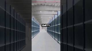 How to Thrive When Shelves Are Empty [upl. by Sukey]