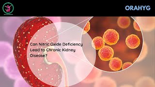 Can Nitric Oxide Deficiency Lead to Chronic Kidney Disease [upl. by Eerdna944]