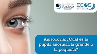 Anisocoria ¿Cuál es la pupila anormal la grande o la pequeña [upl. by Bushweller679]