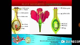 Plant Movements Chemotropism [upl. by Barnebas]