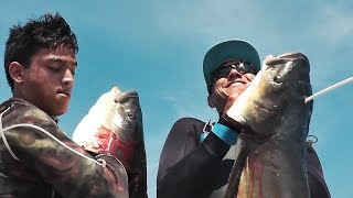 Bowfishing for Cobia HEADSHOT  Cleaning and Cooking [upl. by Pellegrini542]