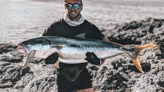 Landbased Yellowtail Kingfish [upl. by Ilat]