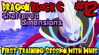 Dragon Block C Shattered Dimensions Minecraft Mod  Episode 12  First Training Session w Whis [upl. by Debra343]