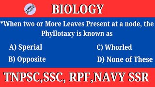 When two or more leaves present at a nodethe Phyllotaxy is known as Whorled  Biology  In Tamil [upl. by Eppillihp]