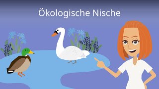 Ökologische Nische einfach erklärt [upl. by Artemus49]