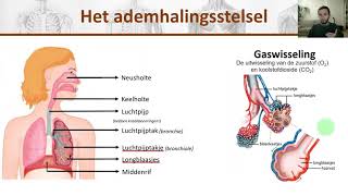 Bio  Het ademhalingsstelsel en de gaswisseling uitgelegd  H8 1 [upl. by Atiekal]