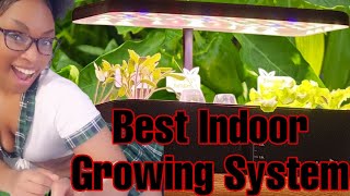 RainPoint Indoor Hydroponic Growing System Unboxing Review hydroponics aerogarden indoorplants [upl. by Keithley]