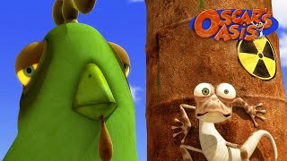 Oscar vs the Big SCARY green chicken  Oscar Oasis  Funny Cartoons [upl. by Scharff513]