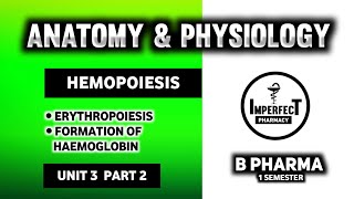 Hematopoiesis  Erythropoiesis  Human Anatomy And Physiology  HAP  B Pharma [upl. by Negriv]