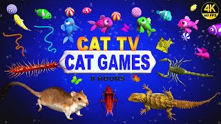 CAT GAMES  ULTIMATE CAT TV COMPILATION FOR FELINE FRIENDS  GAMES FOR CATS 😺 4K 8HOURS [upl. by Isola]