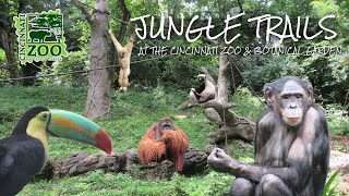 Jungle Trails at the Cincinnati Zoo amp Botanical Garden 1993  Exhibit Tours Ep 28 [upl. by Ailuy]