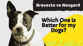 Bravecto vs Nexgard Which is Better for Your Dogs [upl. by Bethel66]