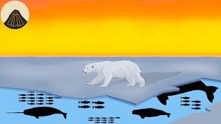 Why Polar Bears are Such Weird Animals [upl. by Dex]