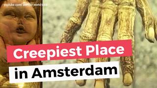 Creepiest Museum in the World Vrolik Amsterdam [upl. by Duong]