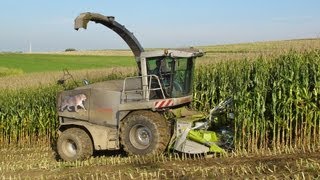 Garten Gemüse ernten und Garten erleben in seiner Vielfalt Erste Kartoffelernte [upl. by Rinaldo]