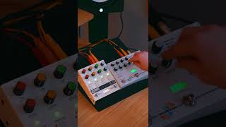 Moog Grandmother  Microcosm  Chroma Console [upl. by Aleac]