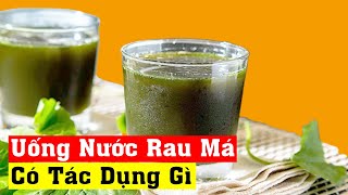 Uống Nước Rau Má Có Tác Dụng Gì  Vitamin Khỏe [upl. by Nieberg]