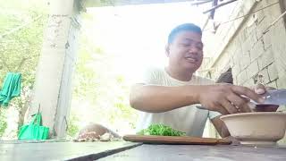 Chicken feet adobo  adobong paa ng manok ni brother  Jovi’s vlog [upl. by Ettennahs]