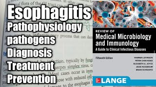 Esophagitis in Urdu ampHindi Gastrointestinal tract Infection [upl. by Josh]