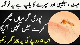 Get Rid Of Mosquitos  Machar Bhagane Ka Tarika  Mosquito Killer Homemade [upl. by Krysta63]