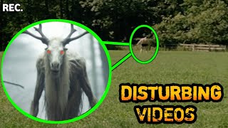 existed animals caught on camera  extinct animals caught on camera [upl. by Dincolo]