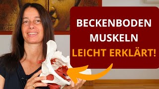 Beckenboden Muskulatur einfach und praktisch erklärt [upl. by Jd]