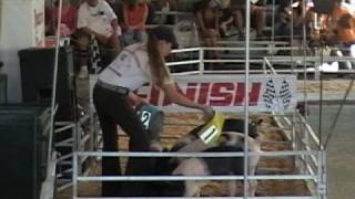 Amazing quotRacing Pigsquot Race 1amp2  VA State Fair [upl. by Airuam]