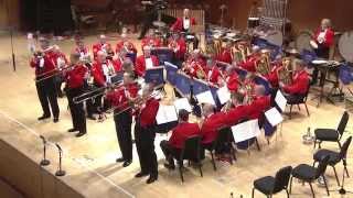 European Brass Band Championships 2014 DVD trailer [upl. by Meihar681]