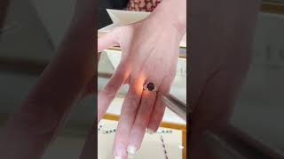 Alexandrite Gemstones gemstonejewelry gemstonerings alexandrite [upl. by Ecneps]