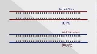 TaqMan® and castPCR™ for Somatic Mutation Detection in Cancer Genes [upl. by Dnalel307]