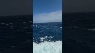 7 meter waves on the Tasman Sea [upl. by Reham]