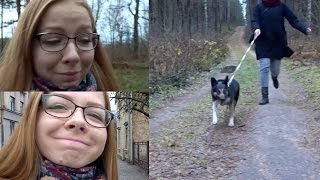 ADOPTÄ’JAM SUNI  Vlog  Gustavs un Baiba [upl. by Marcellina878]