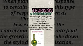 tropisms  tropic movement  neet2023 cbse [upl. by Cole]