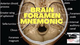 Brain Foramen Mnemonics  Brain Foramen Short Tricks  Medical Mnemonics By Medical A  Z  2020 [upl. by Hcone]