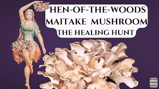 Hen Of The Woods Maitake Mushroom  The Healing Hunt [upl. by Akira]