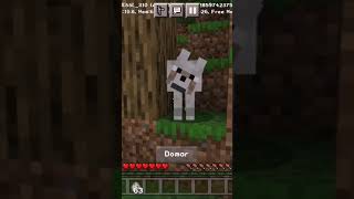 CUANDO DOMÉSTICO UN LOBO EN MÍNECRAFT [upl. by Ultima]